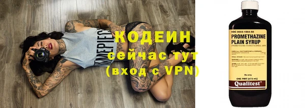 хмурый Инта