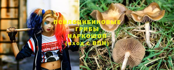 хмурый Инта