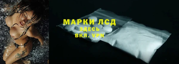 хмурый Инта