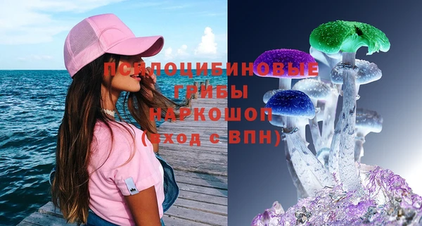 индика Зерноград