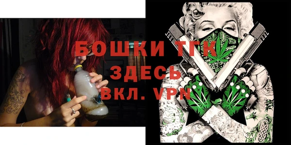 индика Зерноград