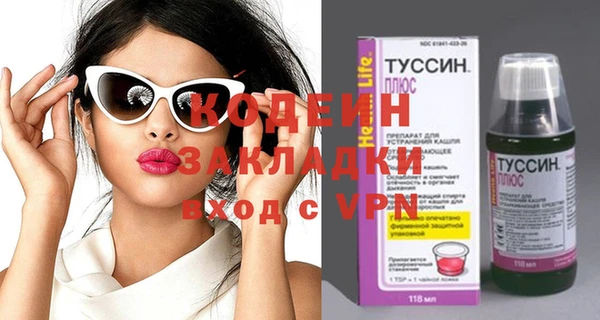 хмурый Инта