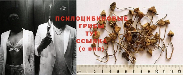 эйфоретик Иннополис