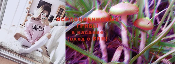 индика Зерноград