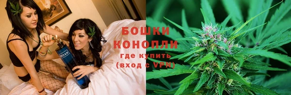 ПСИЛОЦИБИНОВЫЕ ГРИБЫ Инсар