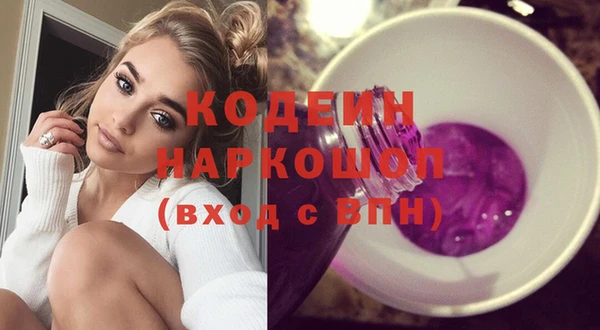 хмурый Инта