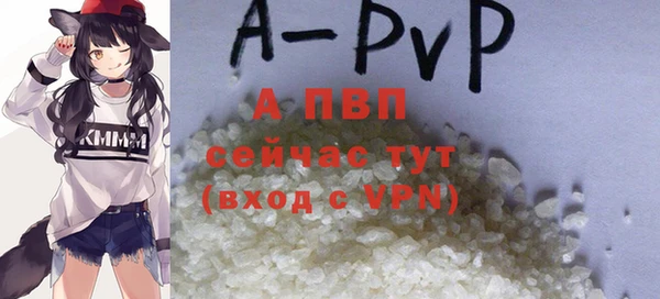 ПСИЛОЦИБИНОВЫЕ ГРИБЫ Инсар