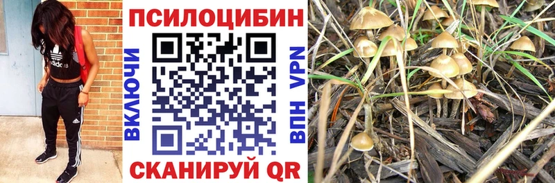 Купить закладки Зубцов Галлюциногенные грибы мухоморы